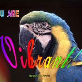 VIBRANT eGreeting Card