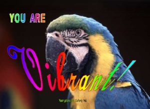VIBRANT eGreeting Card