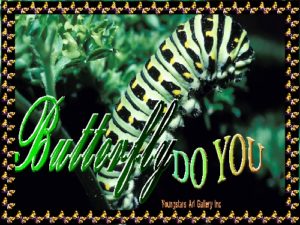 BUTTERFLY eGreeting Poster