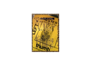 FINGERPRINTS eGreeting Card Email