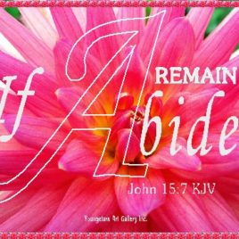 ABIDE eGreeting Card