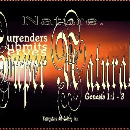 SERVES eGreeting Poster