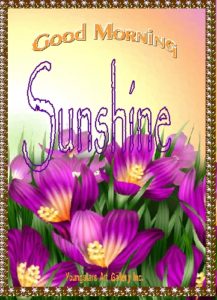 SUNSHINE eGreeting Card