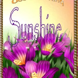 SUNSHINE eGreeting Card