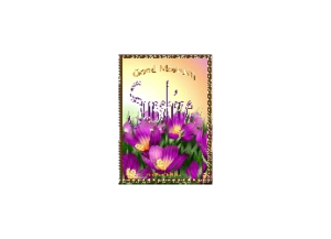 SUNSHINE eGreeting Card Email