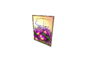 SUNSHINE eGreeting Card Print