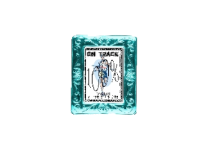 TRACK eGreeting Card Frame